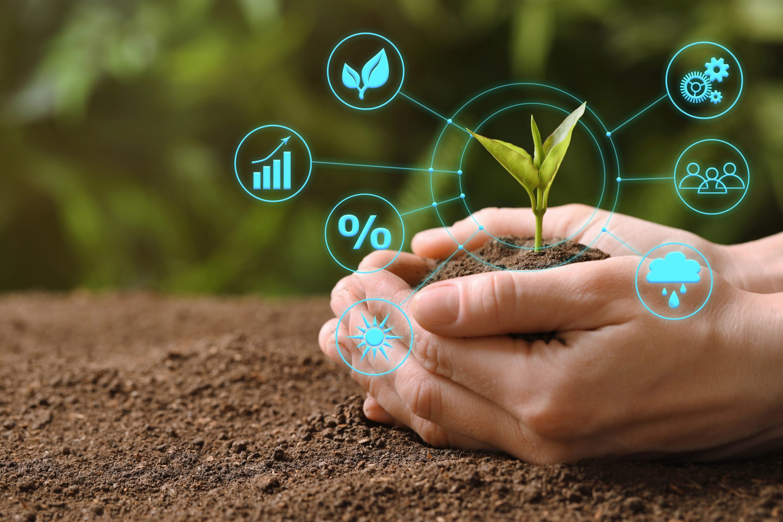 woman with green seedlings and business icons illustrates how you can scale your creative business this spring.