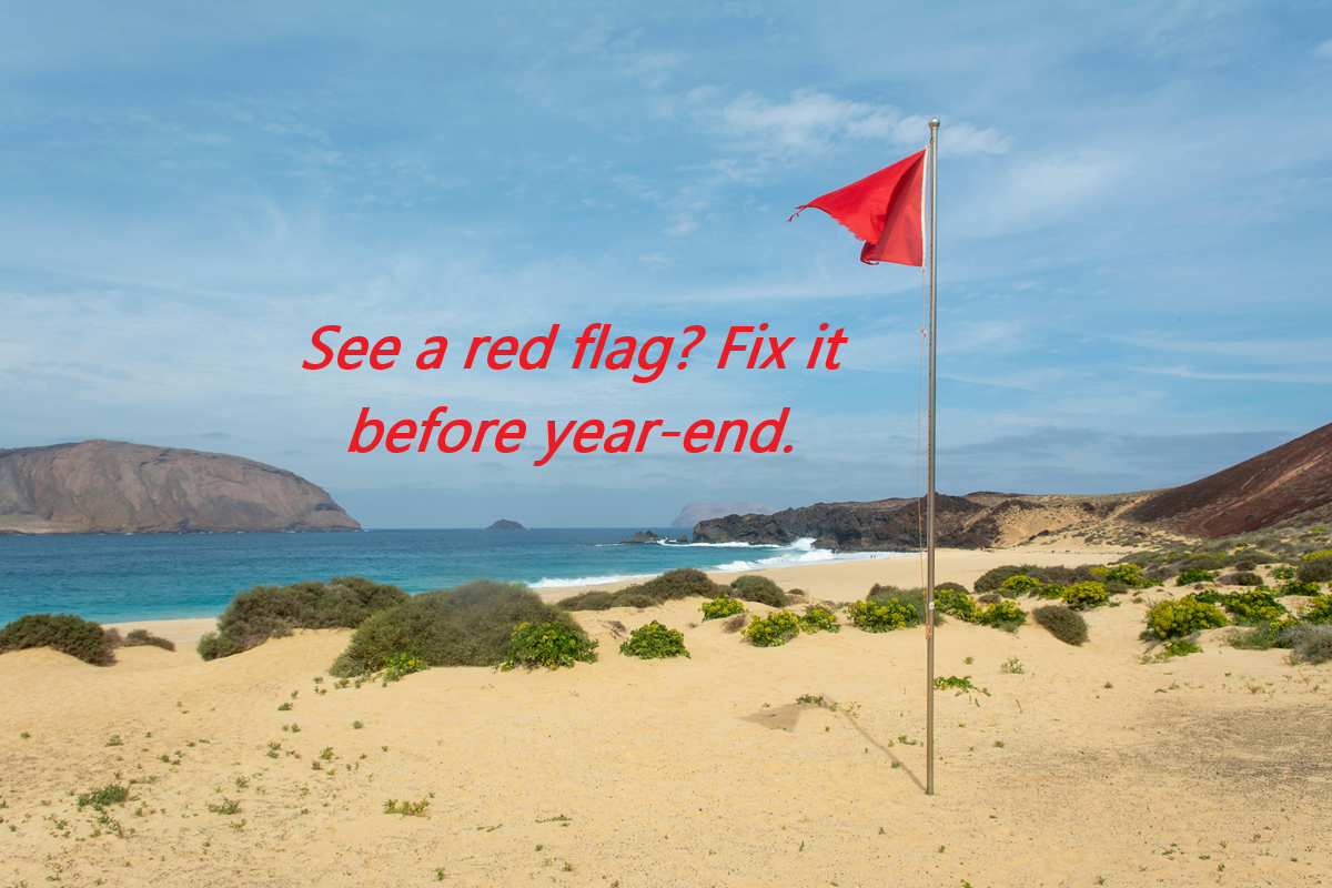 Red warning flag on a beach symbolizing year-end financial red flags for small business owners.